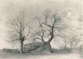 The Glen Rock in 1890