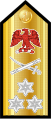 Vice admiral (Nigerian Navy)[42]