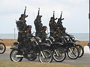 Combat Rider Teams, Special Forces Regiment