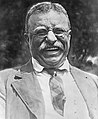 Image 16Theodore Roosevelt (from History of New York (state))
