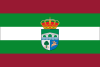 Flag of Valdelugueros, Spain