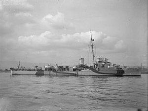 HMS Riou (K557)