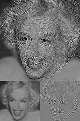 ☎∈ A hybrid image constructed from low-frequency components of a photograph of Marilyn Monroe (left inset) and high-frequency components of a photograph of Albert Einstein (right inset). The Einstein image is clearer in the full image.