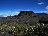 Blue Rock, the highest point of Mount Roraima