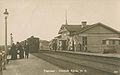 Gorskaya railway station on the Primorskaya Line in 1904.