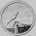 Emblem of the Bird of Paradise with the motto in Latin: Nil terrestre, lit. 'Nothing earthly' from the book Symbola et Emblemata of 1705: fig. 37