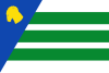 Flag of El Buste