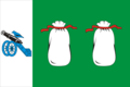 Flag of Belsky District (since 2001)