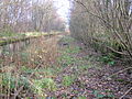 Giffen station looking towards Barrmill in 2008