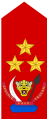 Lieutenant-général (Land Forces of the DR Congo)