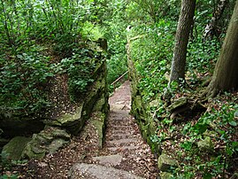 Stairs through the escarpment