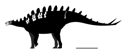 Baiyinosaurus