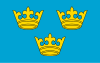 Flag of Iłża