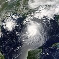 Tropical Storm Bonnie near peak intensity on August 11