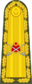Mareşal (Turkey) (Military ranks of Turkey)