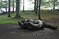Entrust in Brandelhow Park, near to Stair, Cumbria. This wooden sculpture of cupped hands commemorates the centenary of the National Trust's first ever land purchase, 108 acres of the Brandlehow estate.