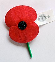 An example of the artificial Flanders poppy which has been distributed by the millions throughout New Zealand by the RSA for Anzac Day activities and other days of remembrance.