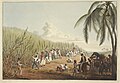 Image 9Sugar plantation in the British colony of Antigua, 1823 (from History of the Caribbean)