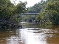 Thumbnail for Ochlockonee River
