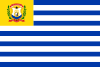 Flag of Simón Rodríguez Municipality