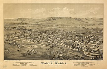 Bird's eye view of Walla Walla, Washington Territory 1876