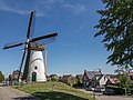 Windmill: korenmolen de Korenbloem