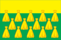 Flag of Gdovsky District