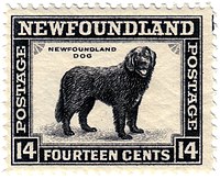 A Newfoundland stamp