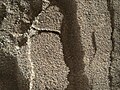 Sand tracks – uncover finer grains (Curiosity rover; December 3, 2015).