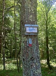 Quinebaug-Pachaug Connector Trail Sign at junction at Phillips Pond.