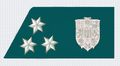 Zugsführer (Master Cpl or L/Sergeant) Vorarlberg