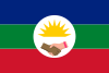 Flag of Tucupita Municipality