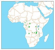 A map of the range of chestnut-headed flufftail, showing several small areas scattered around central Africa.