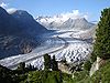 Aletsch Glacier with Aletsch Forest