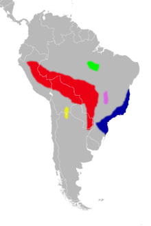 A map showing the distribution of the different species of Euryoryzomys