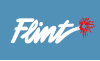 Flag of Flint
