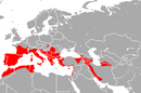 In northwestern Africa, southern Europe to east to Turkmenistan and Iran, south to Israel; Mediterranean Islands