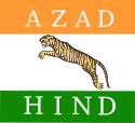 Flag of Free India