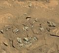 "Not Bones" on Mars - viewed by Curiosity (August 21, 2014).