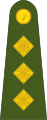 Captaen Irish Army