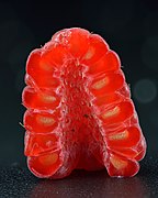 Halved raspberry, torus does not remain when the fruit is picked