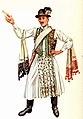 Image 18A vőfély in traditional costume, c. 1885 (from Culture of Hungary)