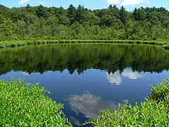 Pine Hole Pond