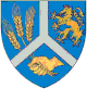 Coat of arms of Haunoldstein