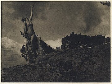 Annie Brigman, Soul of the Blasted Pine, 1908