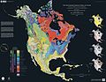 Combined geologic and shaded relief map of North America.