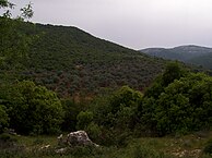 The Ajloun hills, Jordan.