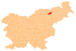 Location of Ruše Municipality