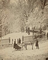 Boston Common, c. 1875