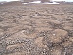  ... with patterned ground on Devon Island in the Canadian Arctic, on Earth.